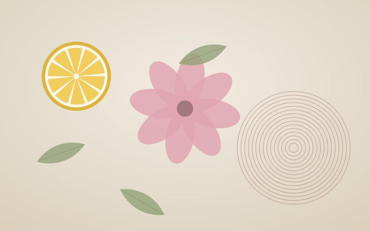 Reading a perfume: top, heart and base